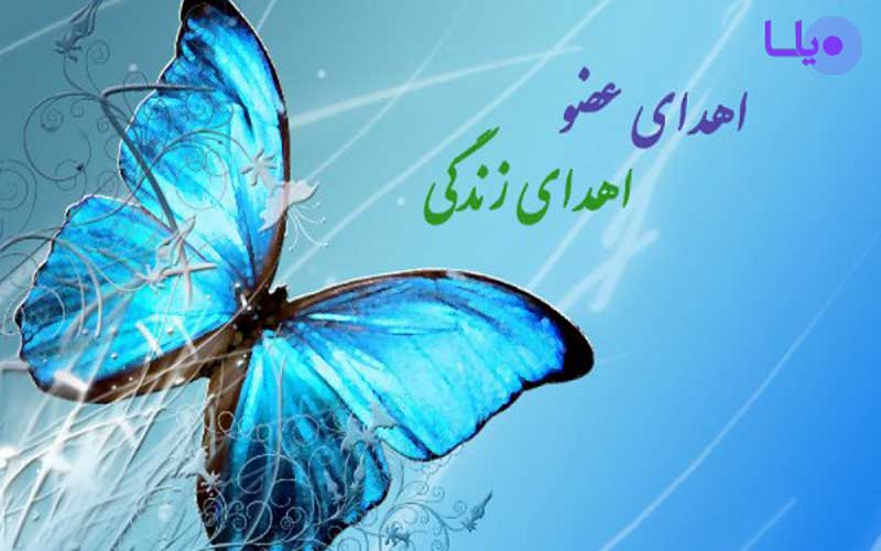 اهدای عضو