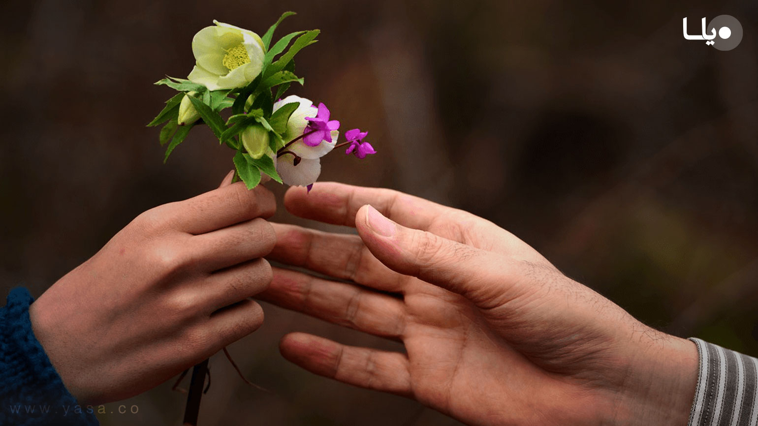 Give this flower. Цветок на руку.. Цветы в ладонях. Дарение цветов. Рука с цветами.